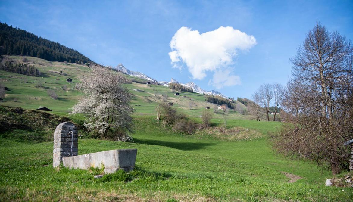 Casa Pasch - Boutique Bed And Breakfast In Cumpadials Sumvitg Exterior foto